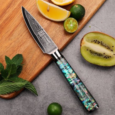 Нож из дамасской стали для овощей Keemake 3,5 Inch Paring Knife, разноцветный