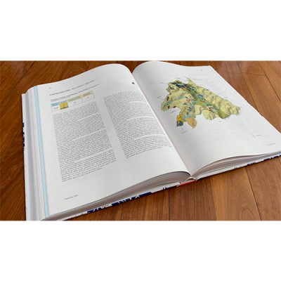 Книга Barollo Alessandro Masnaghetti vol.1, Third Edition