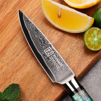 Нож из дамасской стали для овощей Keemake 3,5 Inch Paring Knife, разноцветный