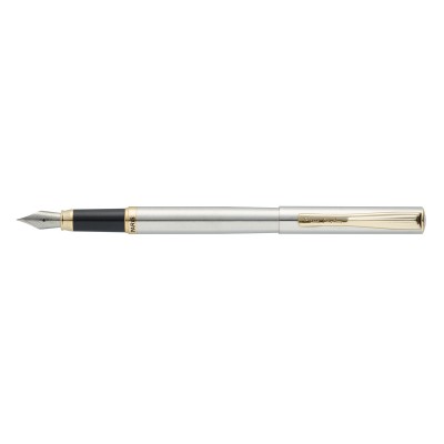 Ручка перьевая Pierre Cardin ECO, цвет - стальной. Упаковка Е