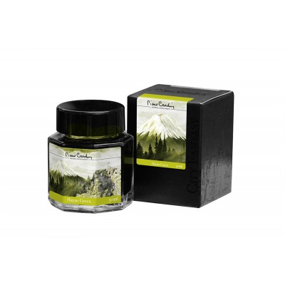 Флакон чернил Pierre Cardin 30мл, серия CITY FANTASY цвет Hayao Green (Зеленый Хаяо) Флакон чернил Pierre Cardin 30мл, серия CITY FANTASY цвет Hayao Green (Зеленый Хаяо)