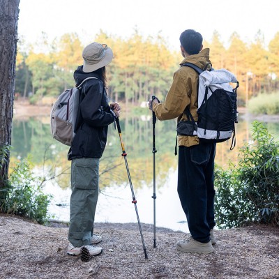 Палка Треккинговая Naturehike ST01 6061 AL NH17D001-Z  с 3 узлами женская 57-120 золотой