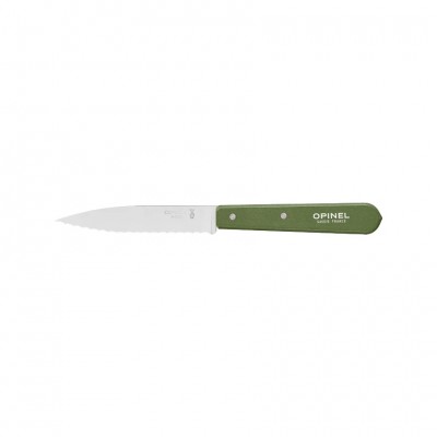 Нож столовый Opinel №113, деревянная рукоять, блистер, нержавеющая сталь, темно-зеленый 003122