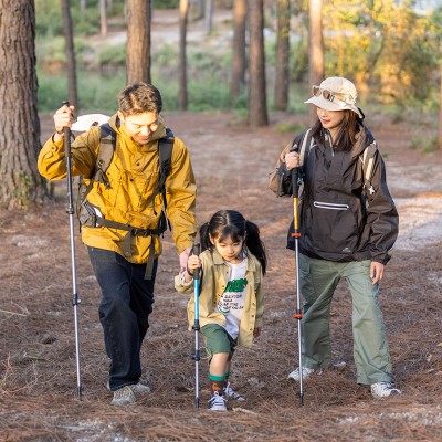 Палка Треккинговая Naturehike ST01 6061 AL NH17D001-Z  с 3 узлами женская 57-120 золотой